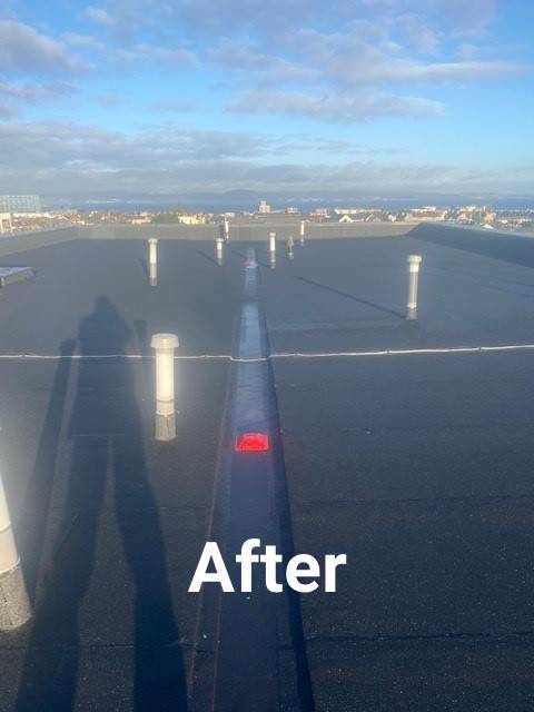 second image
